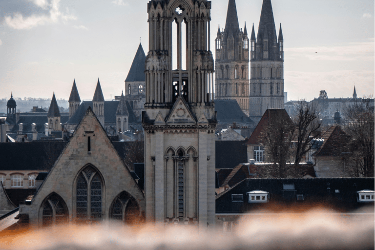 Caen : Omaha et Arromanches visite guidée