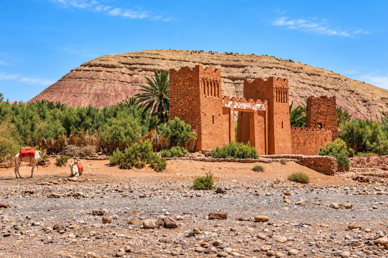 From Marrakech: Ait ben Haddou & Ouarzazate Full Day trip Private Day Tour (Exclusive Experience)