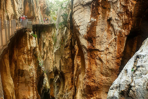 Ab Málaga: Bustour zum Caminito del Rey