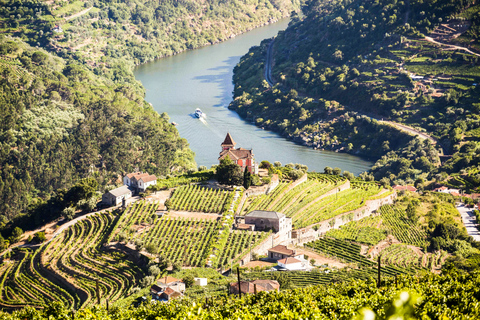 From Porto: Douro Valley w/ Boat Tour, Wine Tasting & Lunch Tour in French with Hotel Pickup