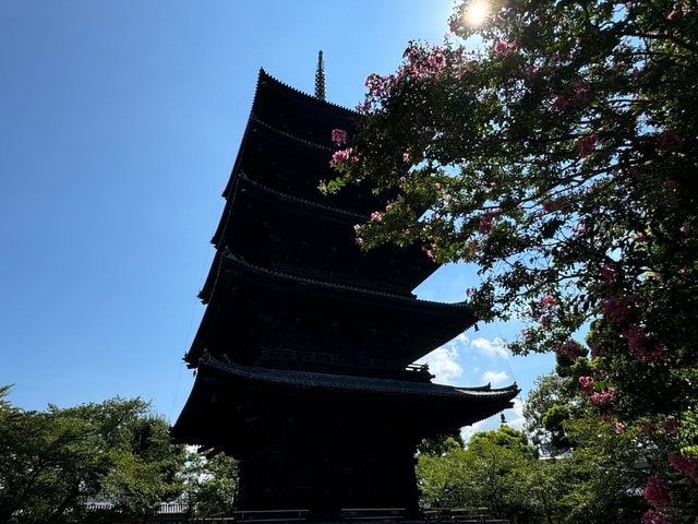 Kyoto: Guided Tour of Toji Temple with 5-Story Pagoda