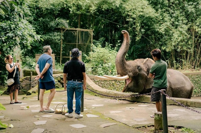 Lombok Wildlife Park: Elephant Observation Experience