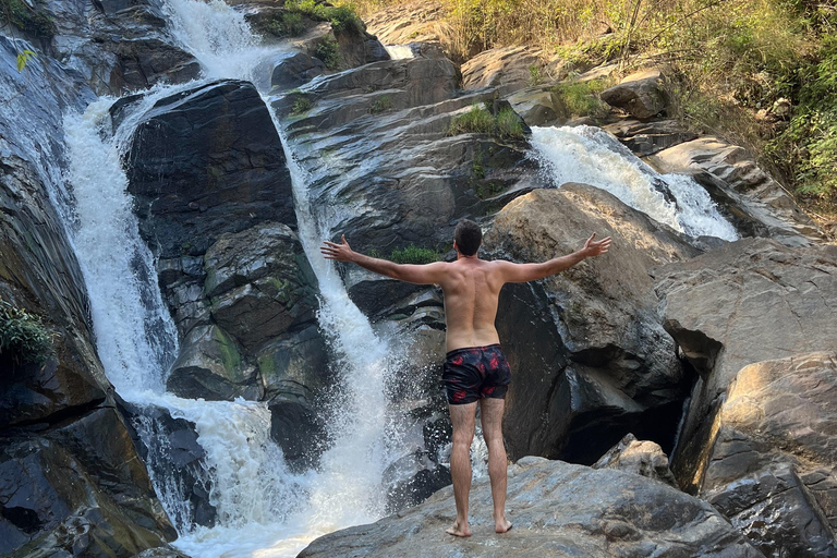 Chiang Mai: One Day Eco-Trek, Elephant care & Bamboo Rafting