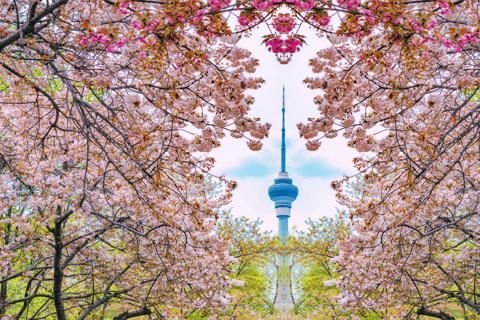 Peking: Central Radio &amp; TV Tower Observation Deck Biljett