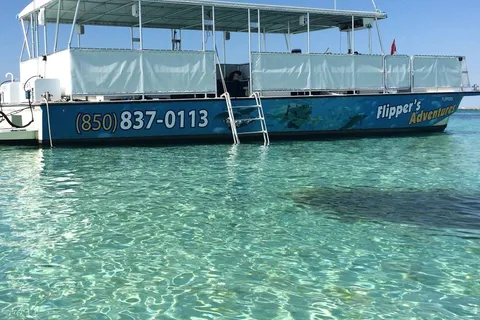 Destin: Crab Island Catamaran Tour with Dolphin Watching