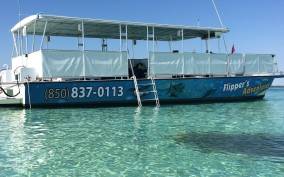 Destin: Crab Island Catamaran Tour with Dolphin Watching