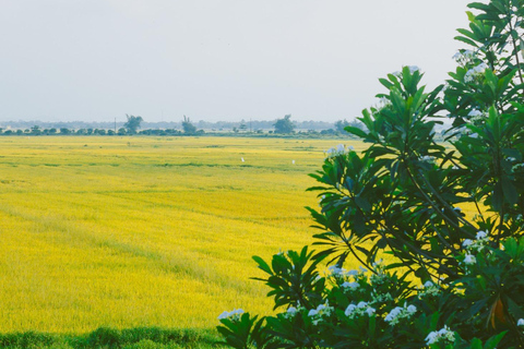 Hanói: salsa de soja, pueblo de los vermicelli y pagoda Thang NghiemTour privado: pueblo de la salsa de soja, pagoda, pueblo del incienso y sombreros