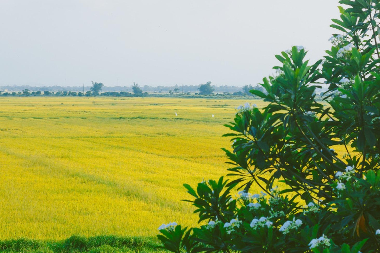 Hanói: salsa de soja, pueblo de los vermicelli y pagoda Thang NghiemTour privado: pueblo de la salsa de soja, pagoda, pueblo del incienso y sombreros