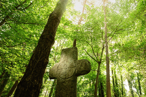 Wexford: Explore an Ancient Woodland with an Irish Witch