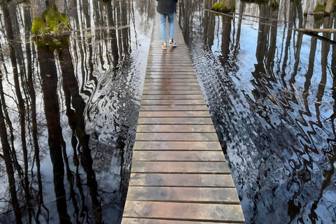 La Gema Oculta de Letonia: Caminata y Transporte por el Sendero Natural del Lago