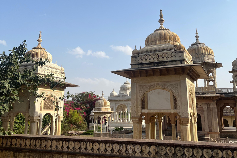 Jaipur: Heritage Tour with Tuk-Tuk