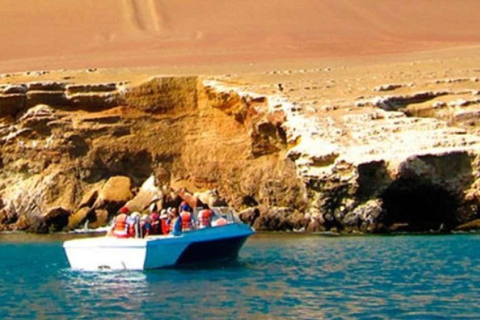 Full day tour to Huacachina and Paracas