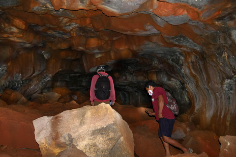 Galapagos: Giant Tortoises & Lava Tunnels tour with a Dome Stay Giant Tortoises & Lava Tunnels Experience with a Dome Stay