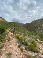 Montague and her secrets on the iconic route 62 over 3 days! - Housity