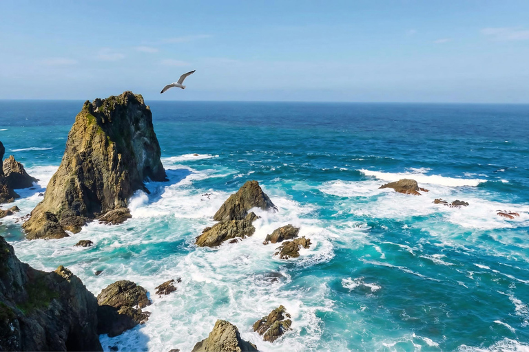 Sapporo: Otaru, Cape Kamui, and Blue Cave Summer Special 8;00 am meet at Odori Park subway station exit 31