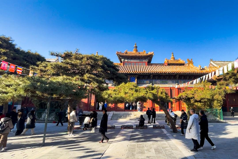 Pékin : Palais d&#039;été+Hutongs+Temple du Ciel