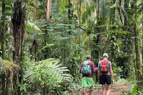 Paraty: Melancia Waterfall Trail Guided Hike with Pickup