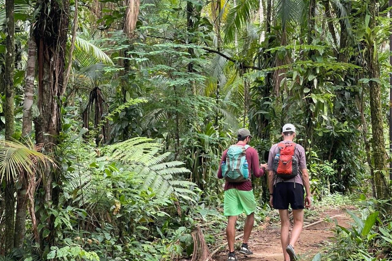 Paraty: Melancia Waterfall Trail Guided Hike with Pickup