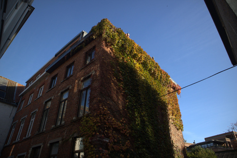 Leuven Bike Tours: Highlights & Beyond + café + bike rental The Leuven Highlights & Beyond (public tour)