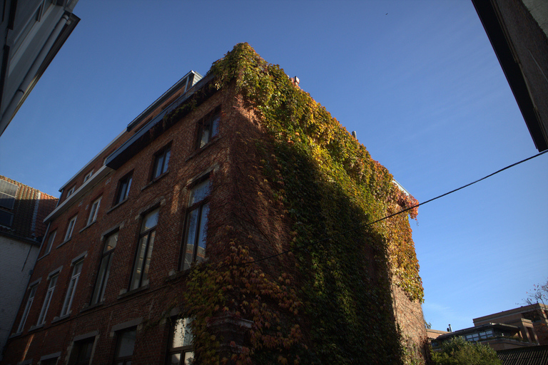 Leuven Bike Tours: Highlights & Beyond + café + bike rental The Leuven Highlights & Beyond (public tour)