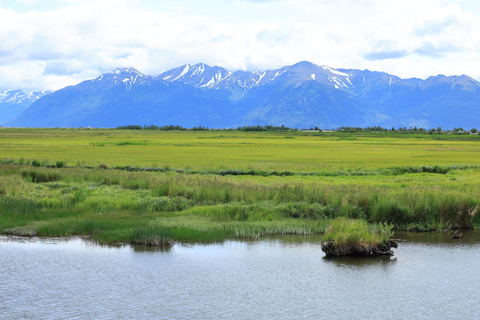 Seward to Anchorage Scenic Tour with Airport drop-off