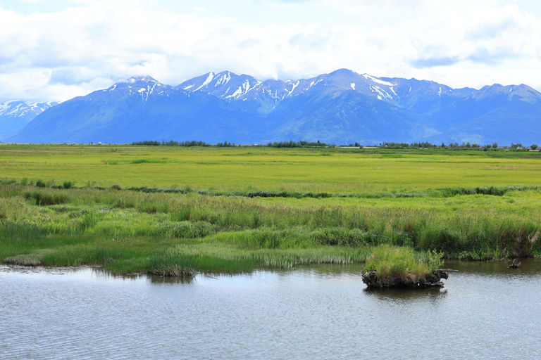 Seward to Anchorage Scenic Tour with Airport drop-off