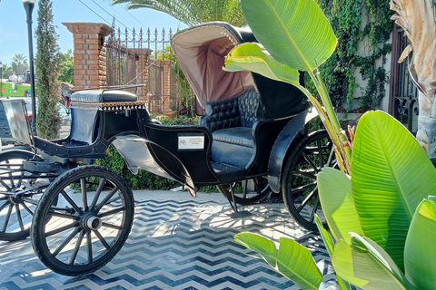 Tour Todos Santos Magical Town, Hotel California