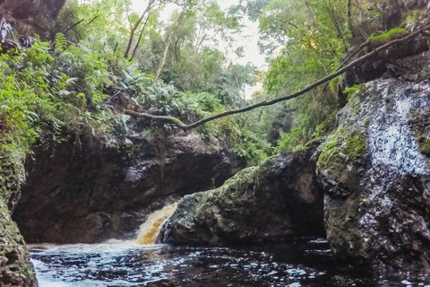Plettenberg Bay: Canyoning Trip Plettenberg Bay: Standard Canyoning Trip