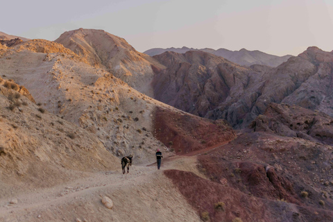 Petra to Wadi Rum Hiking Tour (7 Days) | All-Inclusive