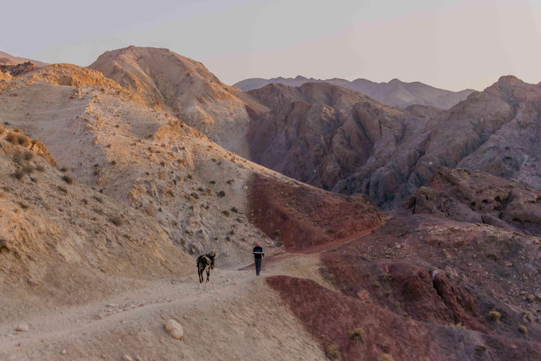 Petra to Wadi Rum Hiking Tour (7 Days) | All-Inclusive