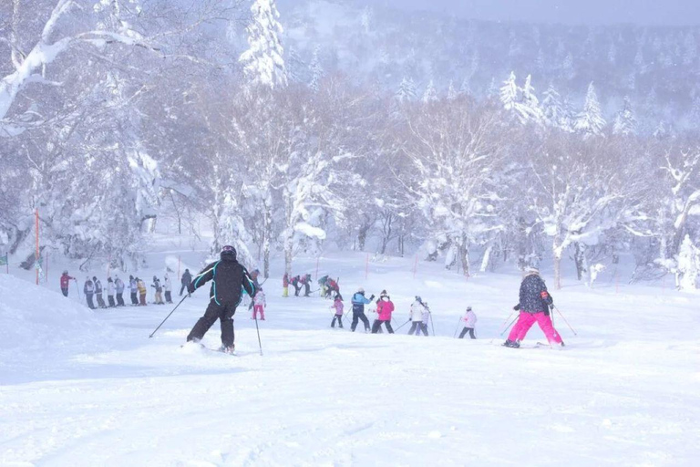 1-Day Ski Tour Package from Sapporo Station With Lesson