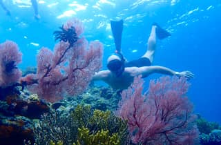 Pemuteran, Bali: Schnorcheltour zur Insel Menjangan mit Mittagessen