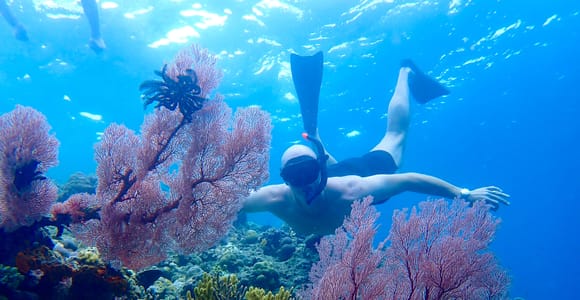 Pemuteran Bali: Menjangan Island Snorkeling Trip with Lunch