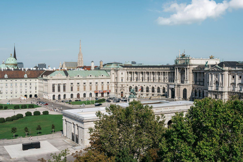 Privé Halve Dagtour Wenen incl. Schloss Schönbrunn