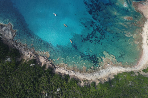 De Ajaccio: Passeio de barco com paragem para nadar em Anse de Cacao