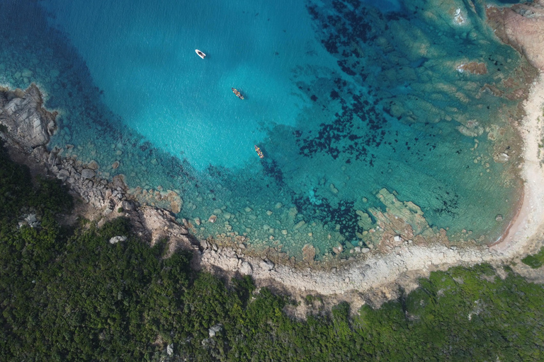De Ajaccio: Passeio de barco com paragem para nadar em Anse de Cacao