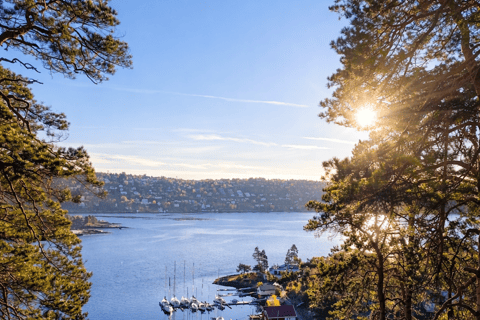 Oslo: Malmøya Guided Hike with Waffle & Salmon Tasting