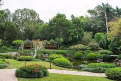 Brisbane: City Tour with Koala Sanctuary