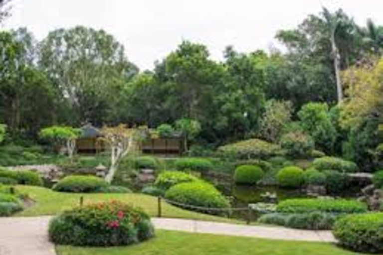 Brisbane: City Tour with Koala Sanctuary