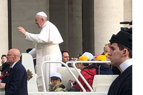 Papstaudienz, Vatikanische Museen und Sixtinische Kapelle Tour