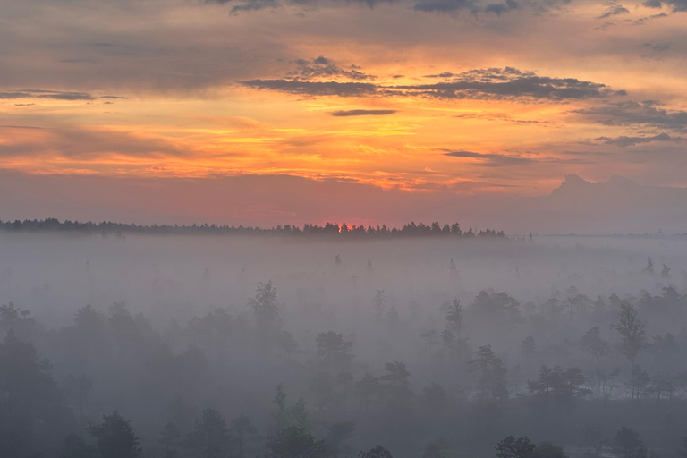 Sunrise Tour To Great Kemeri Bog