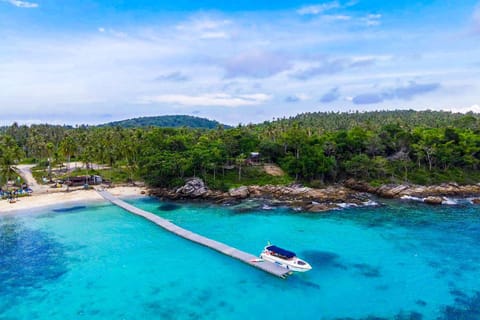 Phuket: Coral Island Tour and Sea Walking