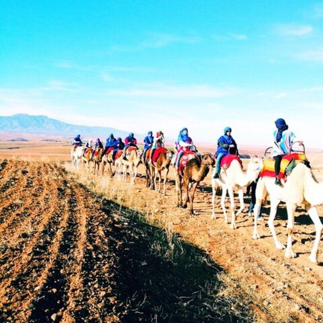 Marrakech : Déjeuner complet dans le désert d'Agafay - quad