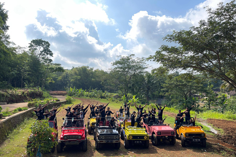 Yogyakarta: Mangunan Pine Forest Jeep Adventure