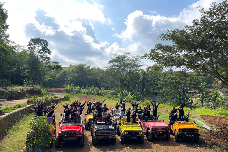 Yogyakarta: Mangunan Pine Forest Jeep Adventure