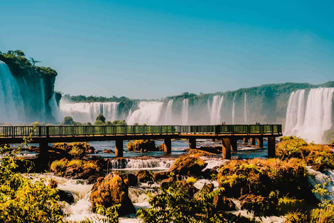 Wycieczka z przewodnikiem po Wodospadach Brazylijskich i Parku PtakówBrazilian Falls &amp; Bird Park + (przewodnik i transport)