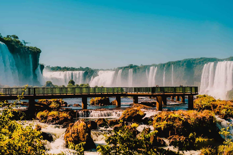 Guided Tour of the Brazilian Falls and Bird Park