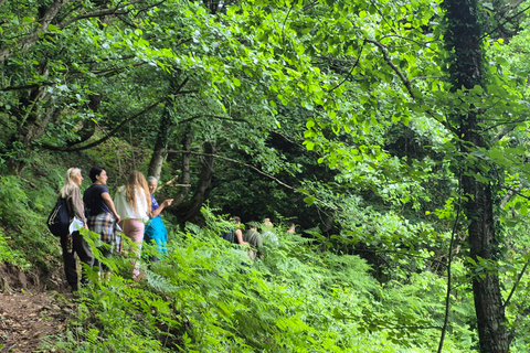 From Batumi: Machakhela National Park Guided Hike