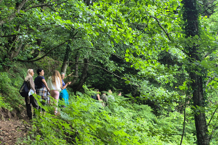 From Batumi: Machakhela National Park Guided Hike