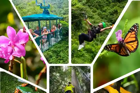 6 in 1 Tour Full Day Pass Braulio Carrillo